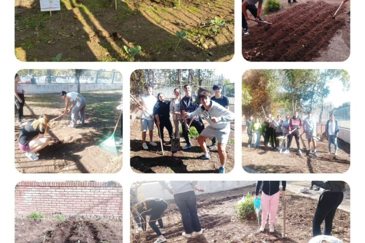 579385455_1402651685204476_3919637847902920291_n