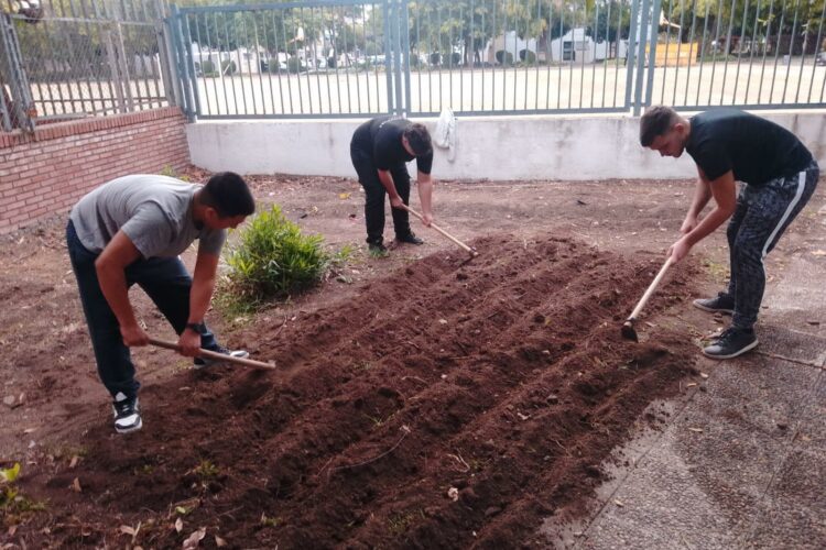 WhatsApp Image 2025-11-30 at 11.25.30